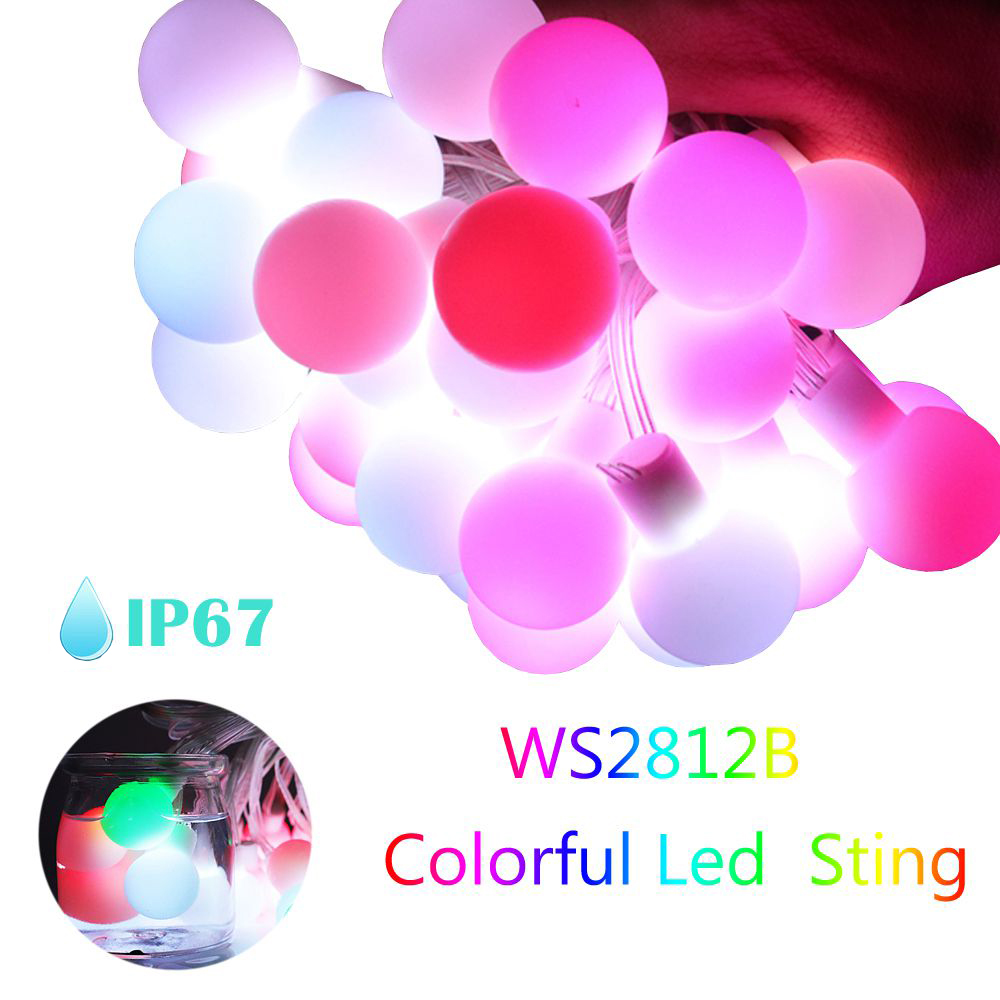 WS2812b LED Round Ball String  - Lighting Decor And More 리뷰 및 가격