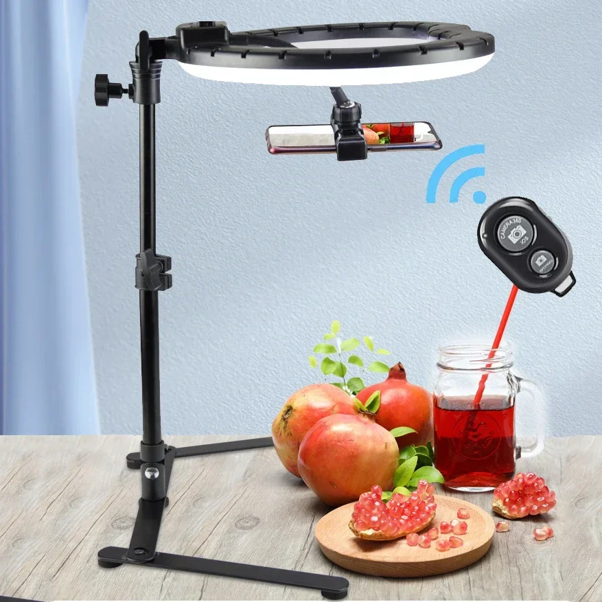 Universal Mobile Phone Holder  - Lighting Gallery 리뷰 및 가격