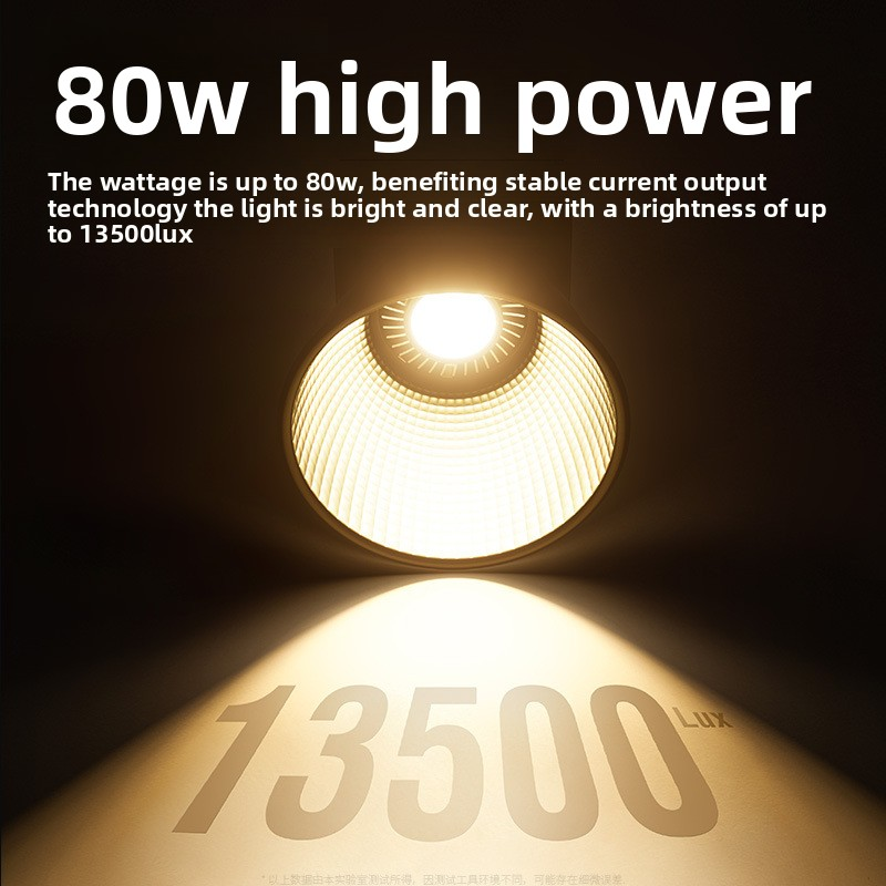 ZU80 80w Handheld Exterior Lam - Lighting Gallery 리뷰 및 가격