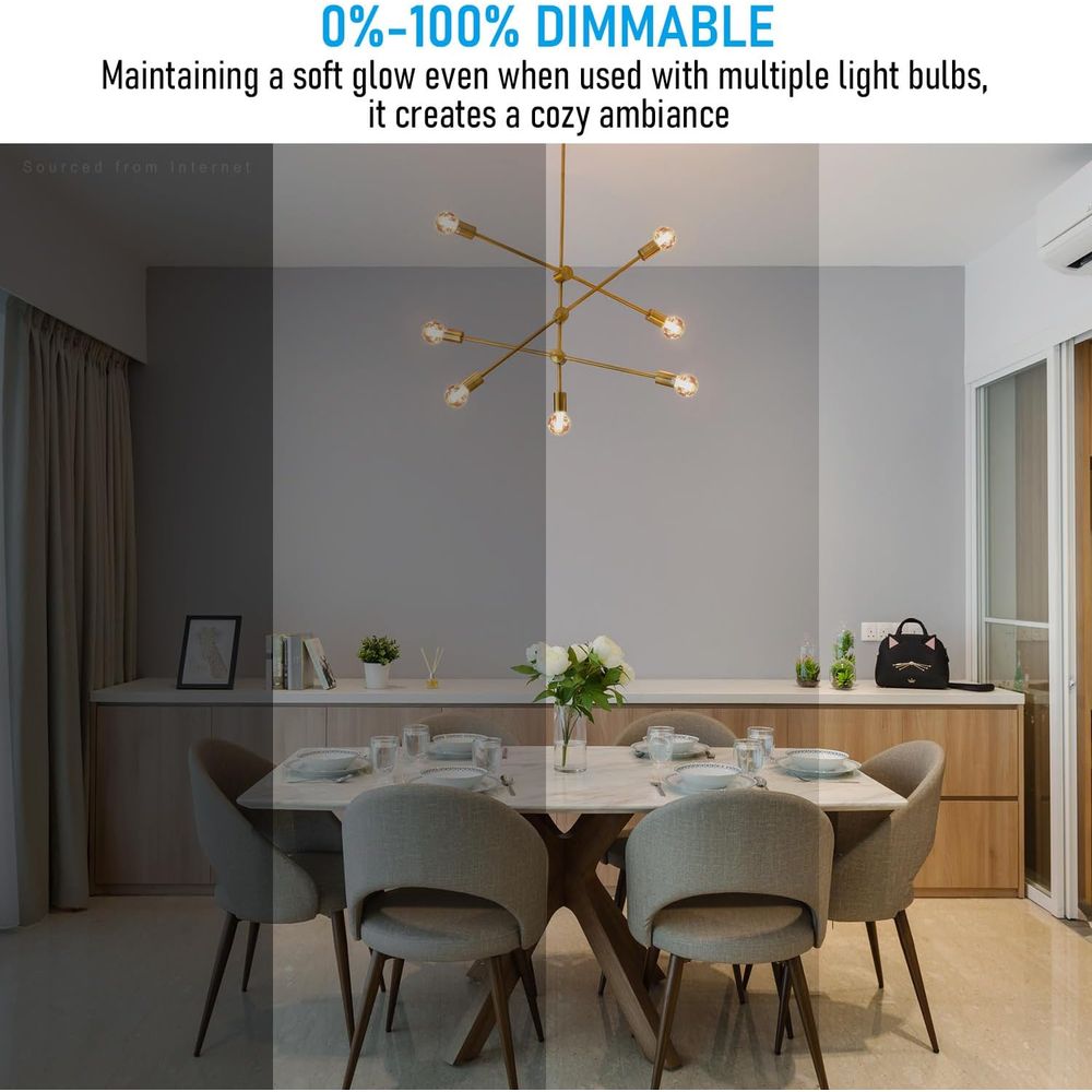 G25 Globe Edison LED Light Bul - Led Lighting Decor 리뷰 및 가격