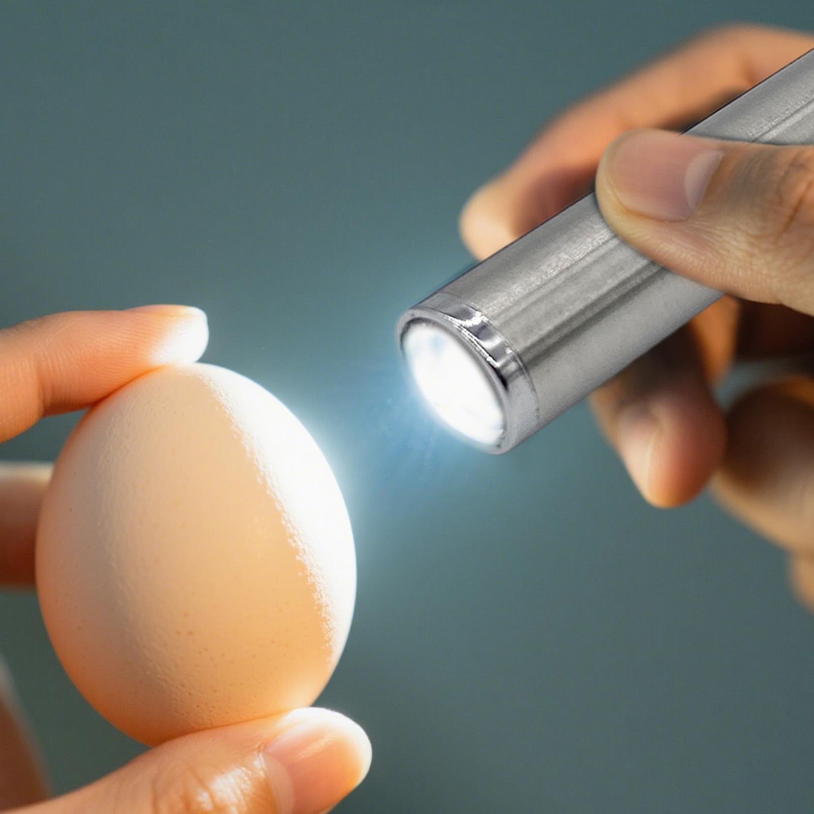 Egg Candler Light Portable Egg - Homestead Lighting & Decor Oconomowoc 리뷰 및 가격