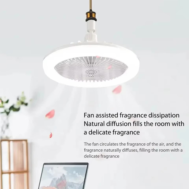 2 In 1 Ceiling Fan Lamps 3 Spe - Decor Lighting Ceiling Fans 리뷰 및 가격