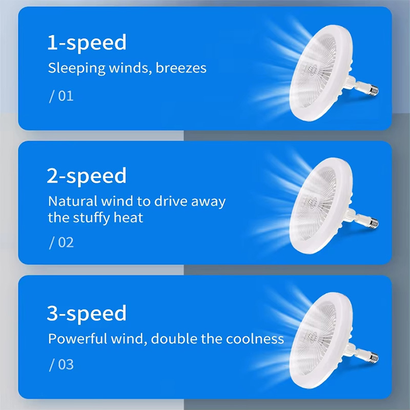 2 In 1 Ceiling Fan Lamps 3 Spe - Decor Lighting Ceiling Fans 리뷰 및 가격