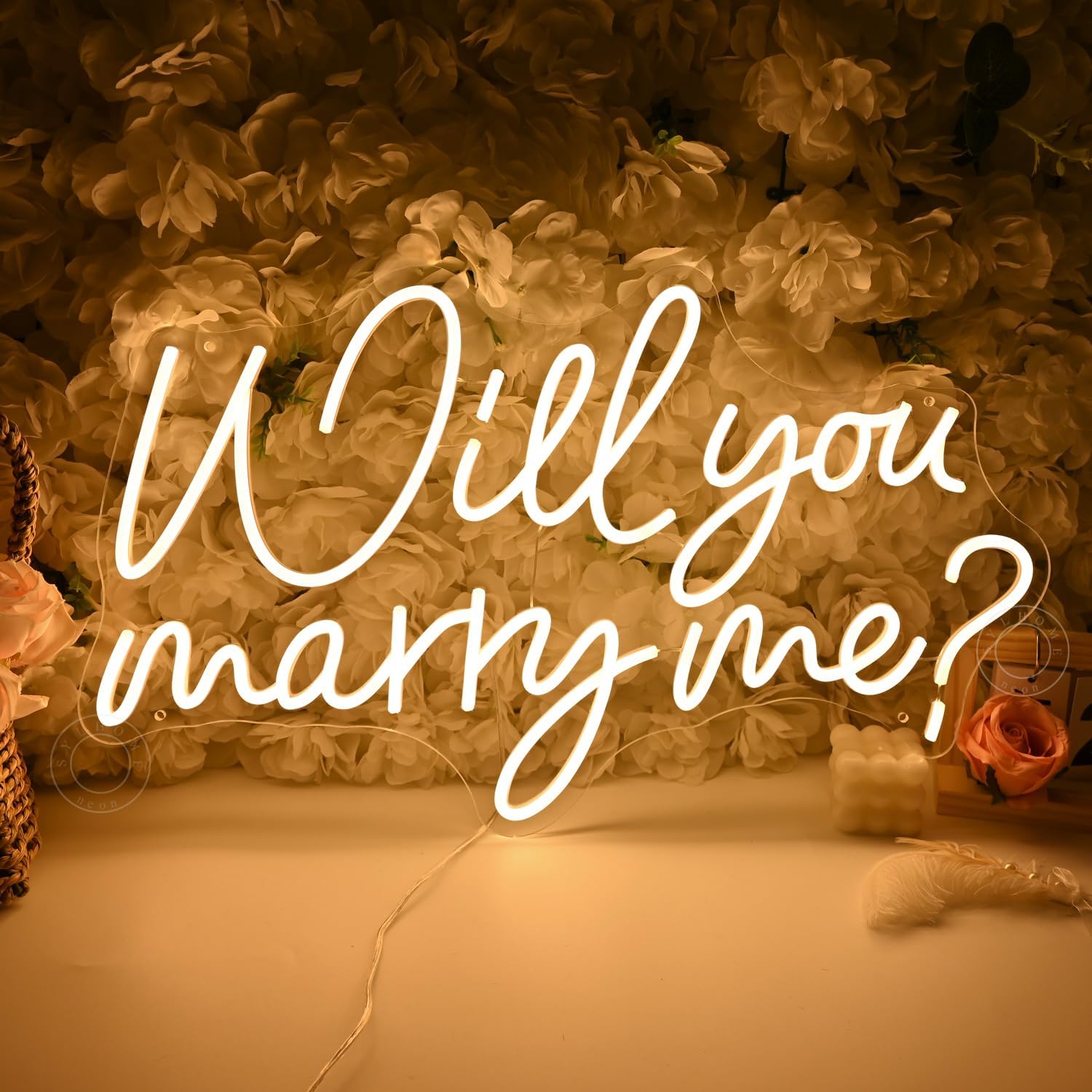 Will You Marry Me LED Neon Lig - Lighting Decoration For Wedding 리뷰 및 가격