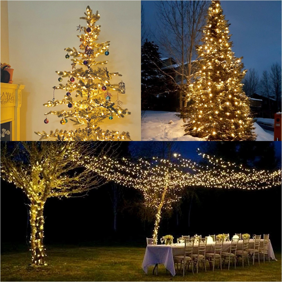 More LED Green Wire Garland St - Lighting Decor And More 리뷰 및 가격