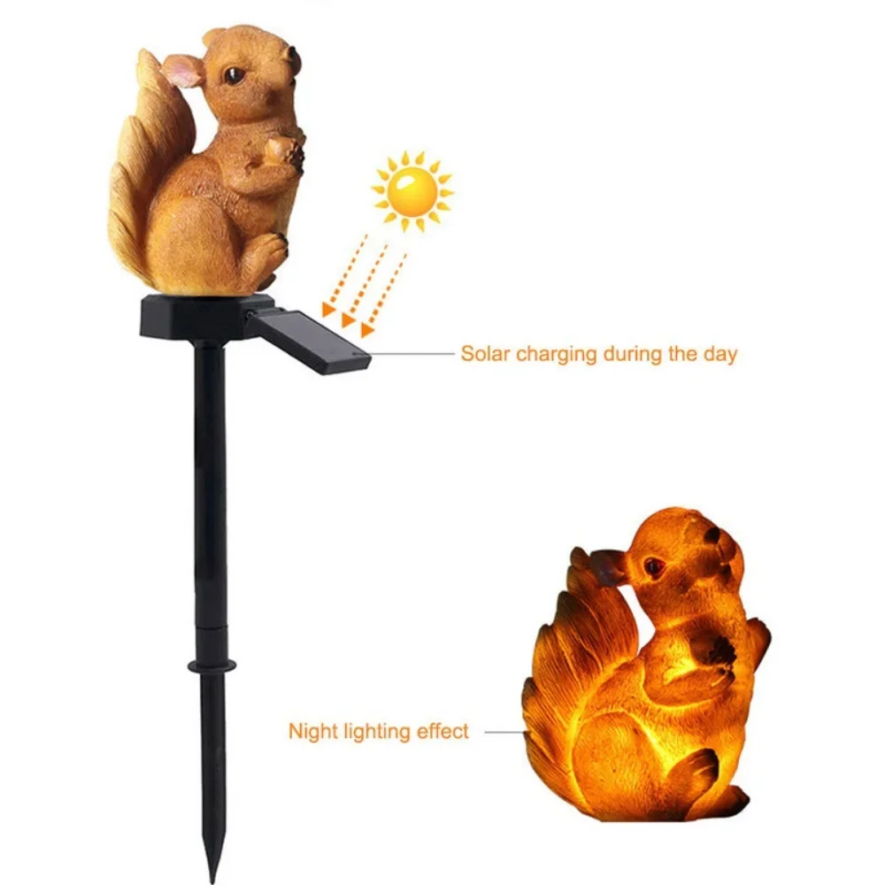 1 Pack Outdoor Solar LED Light - Decor Lighting Pack 리뷰 및 가격