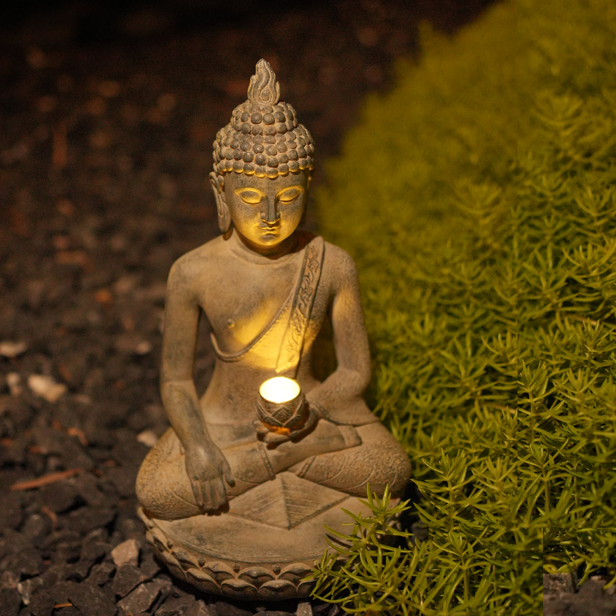 Creativity Solar Powered Outdo - Decor Lighting India 리뷰 및 가격