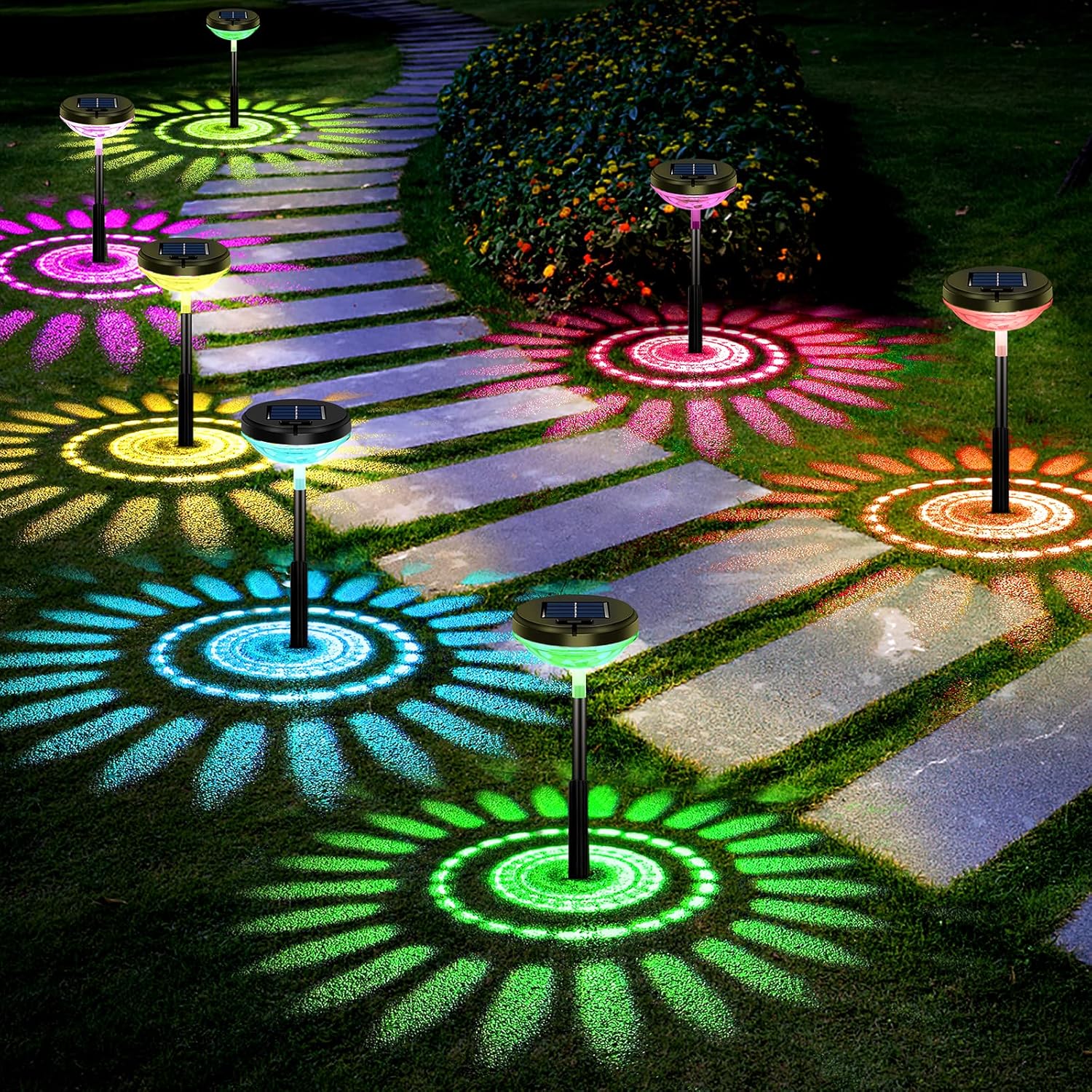 6 Pack Solar Pathway Lights wi - Decor Lighting Pack 리뷰 및 가격