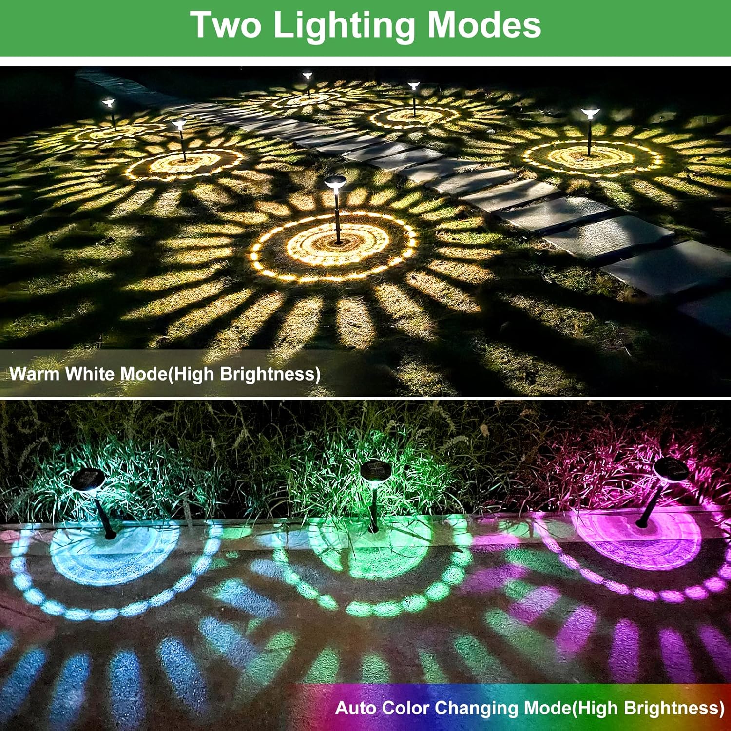 6 Pack Solar Pathway Lights wi - Decor Lighting Pack 리뷰 및 가격