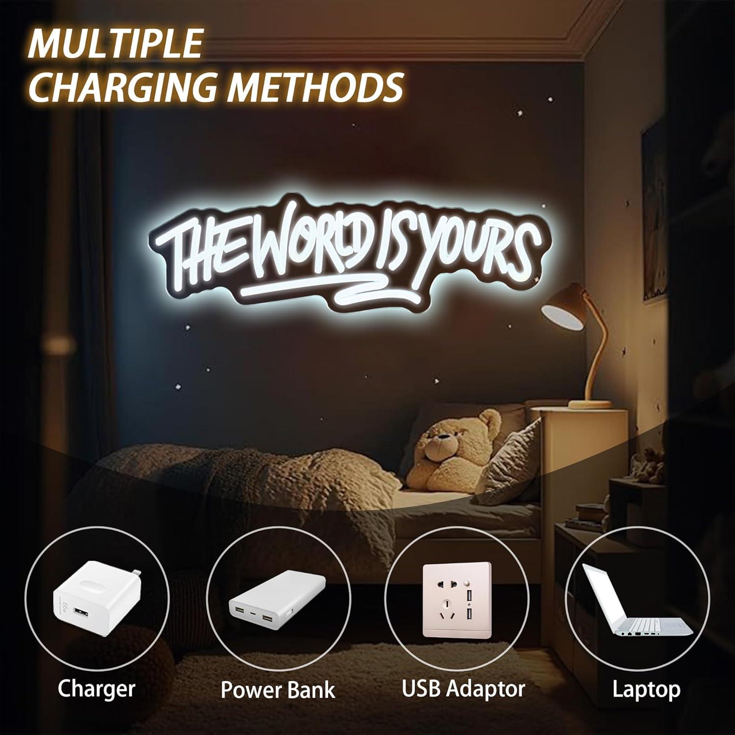The World is Yours Neon Sign U - Lighting Decoration For Wedding 리뷰 및 가격