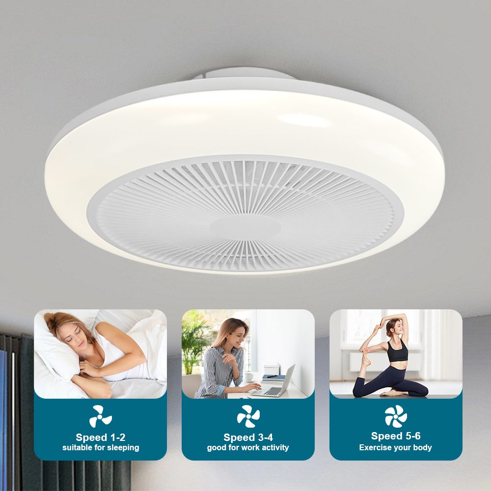 Ceiling Pendant Light, Ceiling - Decor Lighting Ceiling Fans 리뷰 및 가격
