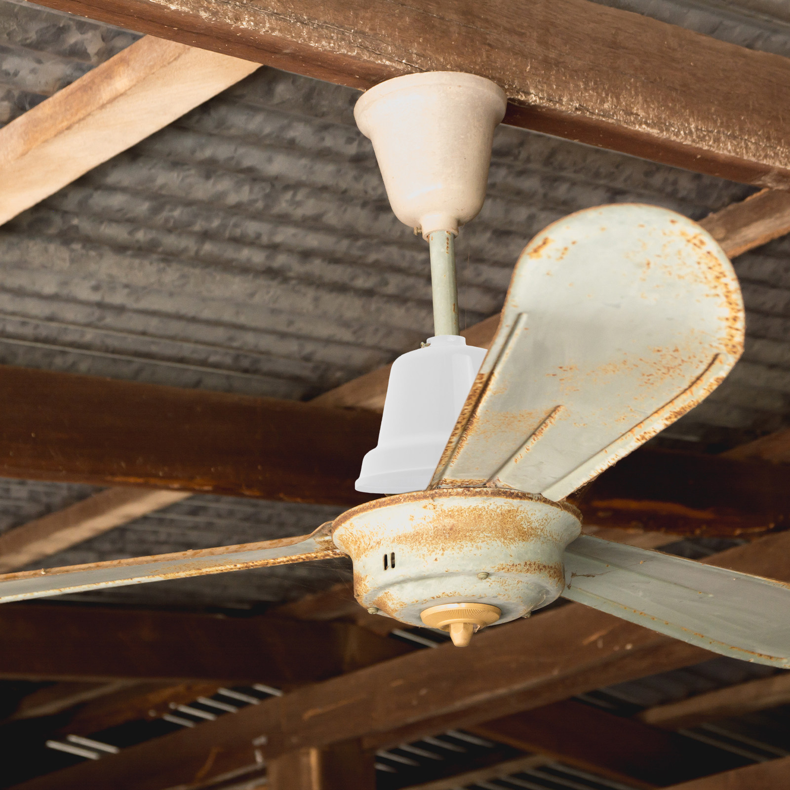 Ceiling Fan Dust Cover Large P - Decor Lighting Ceiling Fans 리뷰 및 가격